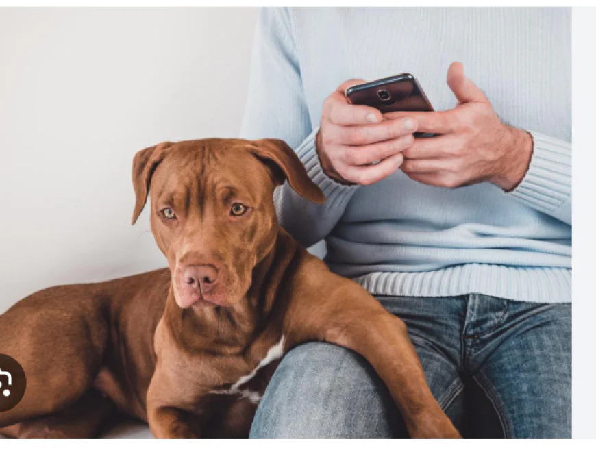 How Mobile Vets Provide Convenient Parasite Prevention