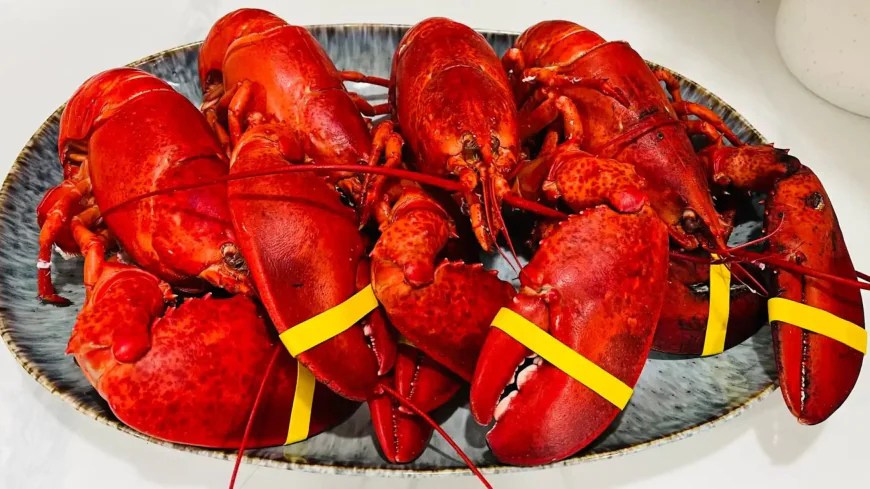 What Secrets Do Chefs Use in Lobster Bake Catering Maine to Impress Guests Every Time?
