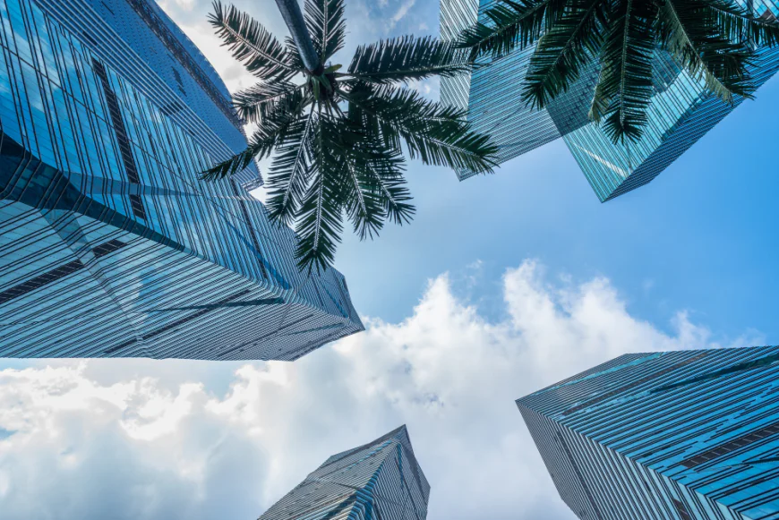 Company Formation in Dubai: Why the Right Agents Matter