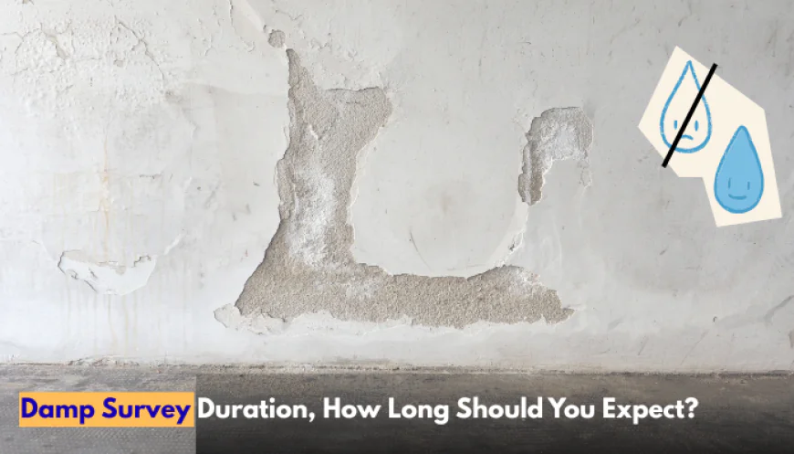 Damp Survey Duration, How Long Should You Expect?