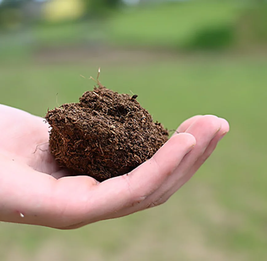 Einstreu für Pferde kaufen – Günstige und hochwertige Auswahl
