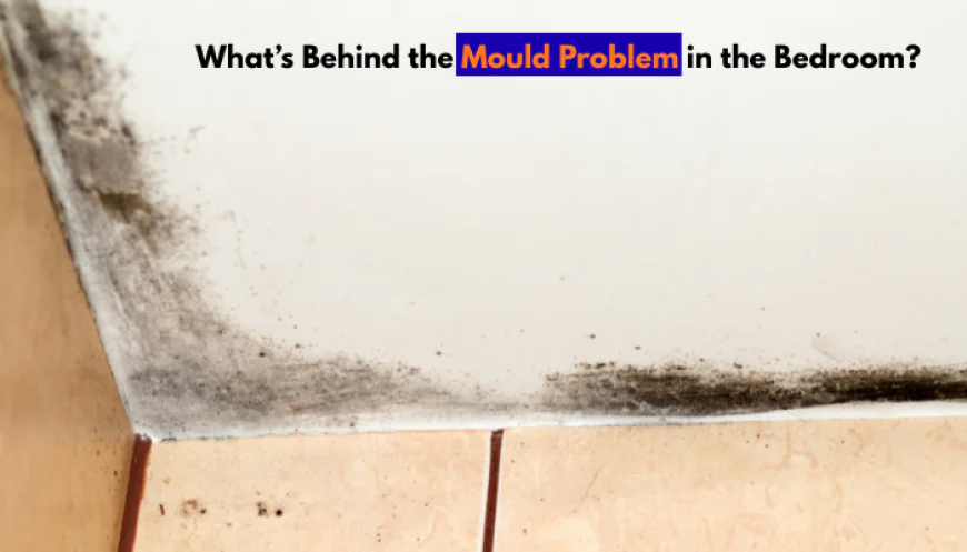 What’s Behind the Mould Problem in the Bedroom?