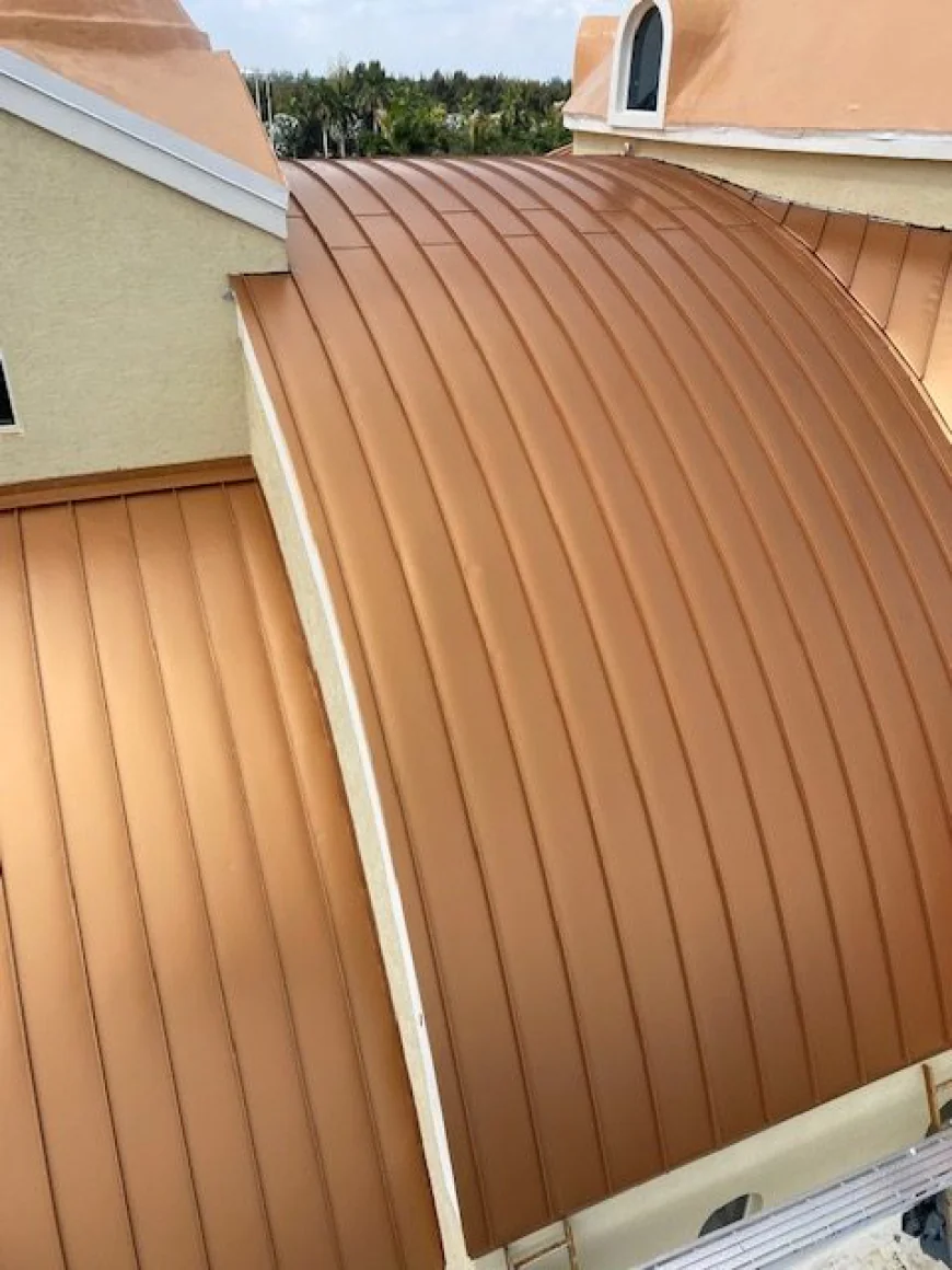 Roof Repair and Tile Roofing in Tampa: How to Choose the Right Company