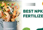 The Best NPK Fertilizer for Vegetables and Fruits: A Farmer’s Guide