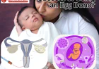 Egg Freezing, Egg Donor Success & Surrogacy Clinics in Delhi