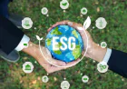 Building Robust UAE ESG Reporting Around Scope 1, 2, 3 Emissions