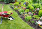 Grub Control Service vs DIY Treatment: Which Is Better?