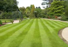 How to Choose the Right Sod Installation Services Provider in Your Local Area