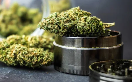 Where Can You Safely Buy THC Edibles Online Today?