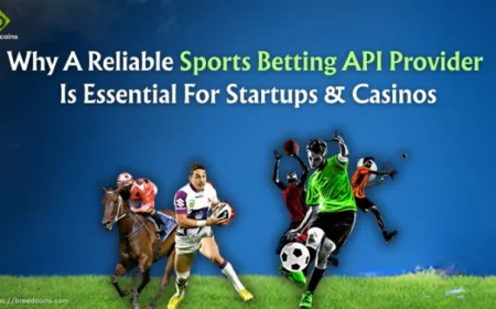 Why A Reliable Sports Betting API Provider Is Essential For Startups & Casinos