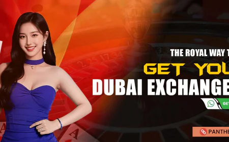 Dubai Exch 365: A New Era of Online Sports Betting