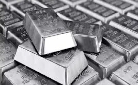 Best Commodity Trading Platform for Beginners: What to Look For