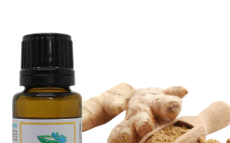 Discover the Power of Ginger Essential Oil Today
