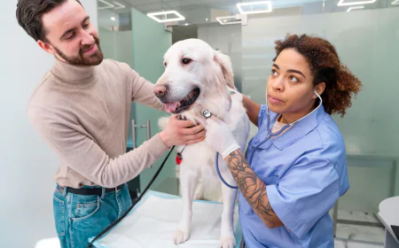 Flexible Payment Options at Happy Paws Pet Hospital