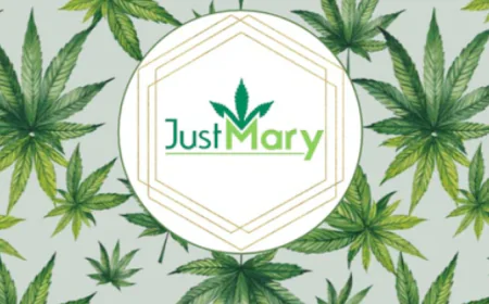 The Ultimate Solution for Clean Brushes: Why You Need a Hair Brush Cleaner