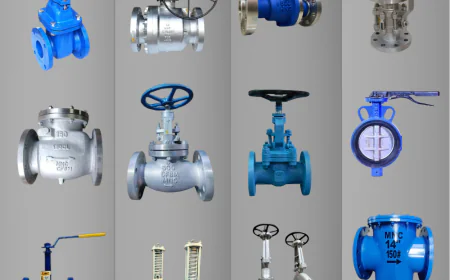 Why Indian Valve Manufacturers Are Becoming Global Supply Chain Leaders