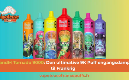 RandM Tornado 9000: Den ultimative 9K Puff engangsdamp til Frankrig