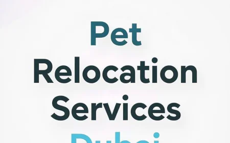 Pet Relocation Services in Dubai by 6th Move Relocations: Because Your Pets Deserve a Stress-Free Move Too