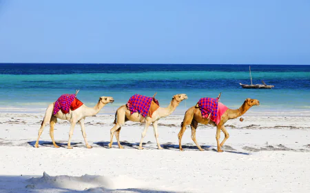 Explora Marruecos: Guía Completa de Viajes Marruecos