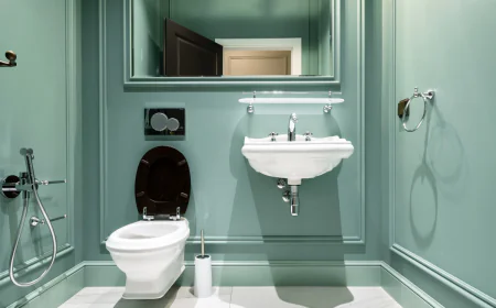 Top Reasons to Hire Experts for Toilet Setup