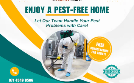 The Top Ten Pest Control Businesses in UAE