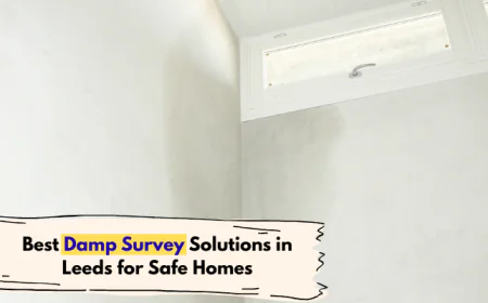 Best Damp Survey Solutions in Leeds for Safe Homes