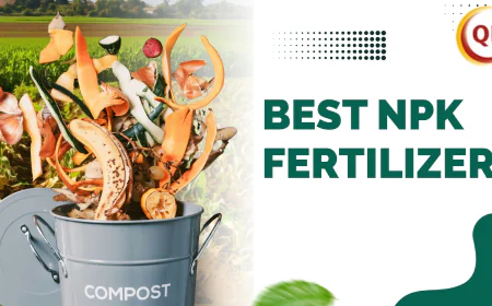 The Best NPK Fertilizer for Vegetables and Fruits: A Farmer’s Guide