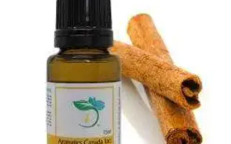 Discover the Benefits of Cinnamon Bark Essential Oil