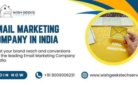 Email Marketing Company in India Delivering High ROI Campaigns for Businesses and Startups | Wish Geeks Techserve
