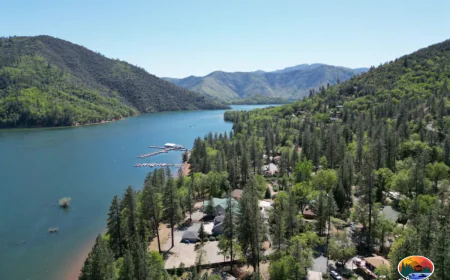 Exploring the Beauty and Significance of Lake Shasta California