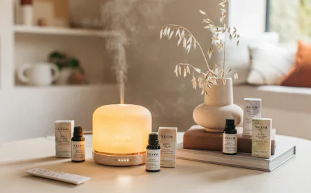 Establishing a Aroma Diffuser Manufacturing Plant: Cost Breakdown and Infrastructure Requirements