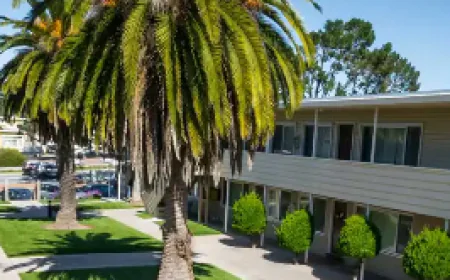 Step-by-Step Guide to Installing Artificial Turf in Small Urban Backyards