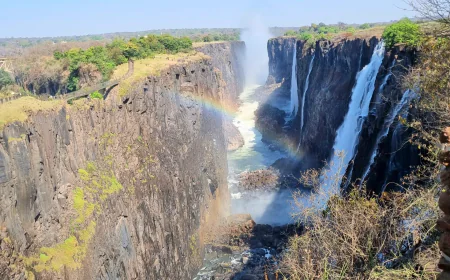 Luxury Safari Holidays That Redefine High-End Travel Experiences