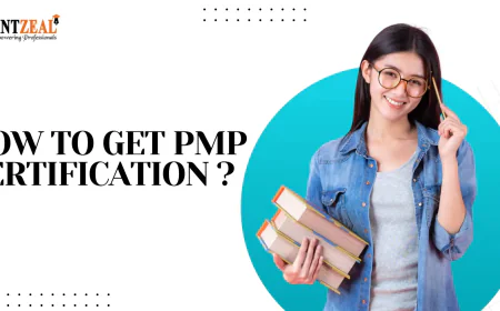 How to Master Project Management by Enrolling in a PMP Course