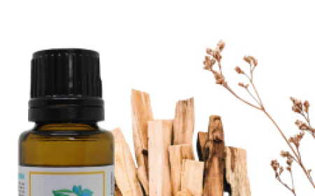 Palo Santo Essential Oil — A Guide to Aromatherapy & Healing