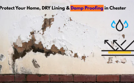 Protect Your Home, DRY Lining & Damp Proofing in Chester