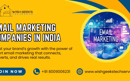 Email Marketing Companies in India Building Smart Strategies for Sustainable Online Success | Wish Geeks Techserve