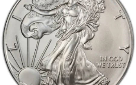 What Are Lot Loans and How Do They Compare to IRA Loans?