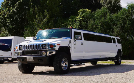Book Comfortable Rides with Blue Mountain Limo Service Today