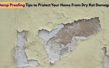 Damp Proofing Tips to Protect Your Home From Dry Rot Damage