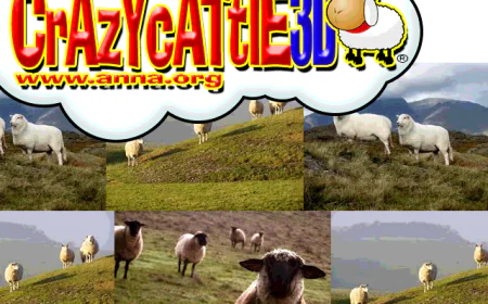Finding Calm in the Chaos: My Unexpected Obsession With a Sheep Game