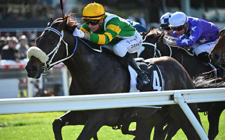 Adelaide v Port Adelaide Rd 20: A Complete Breakdown of the Rivalry and What to Expect