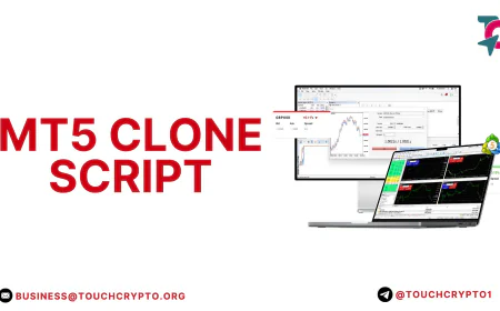 How MT5 Clone Script Helps You Build a Profitable Forex Trading Business