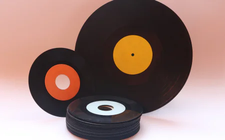 India Vinyl Record Market Trends, Growth, Share and Forecast 2025-2033