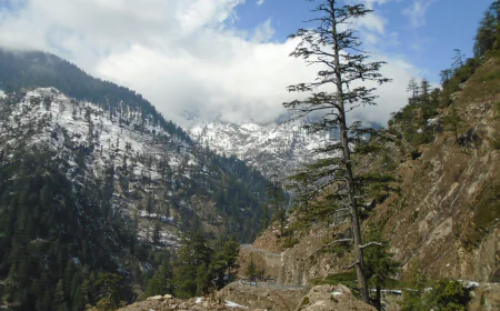 Escape to the Hills: Explore the Best Shimla Tour Packages from Bangalore