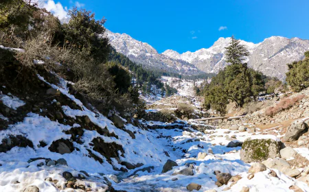 Plan the Perfect Family Vacation with Exclusive Shimla Tour Packages