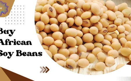 Fresh Organic Soy Beans Australia – Buy Healthy & Sustainable Soy Beans Online