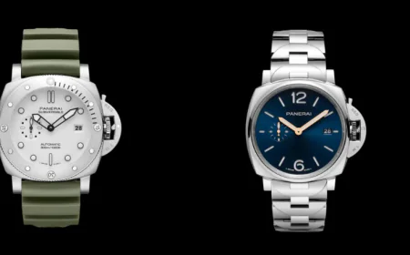 Infographic: Top 5 Luxury Watches Ideal for Investment