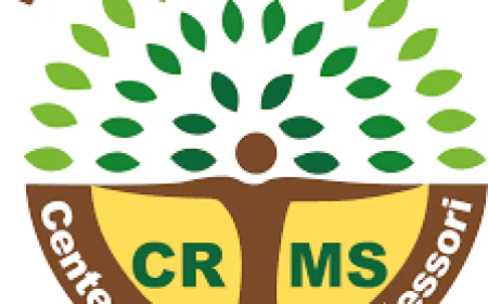 Montessori School Near Me – A Place Where Learning Begins with Curiosity