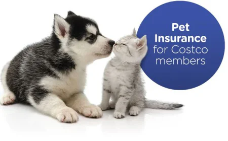 The Ultimate Guide to Cheap Pet Insurance Plans: Protecting Your Pets Without Breaking the Bank